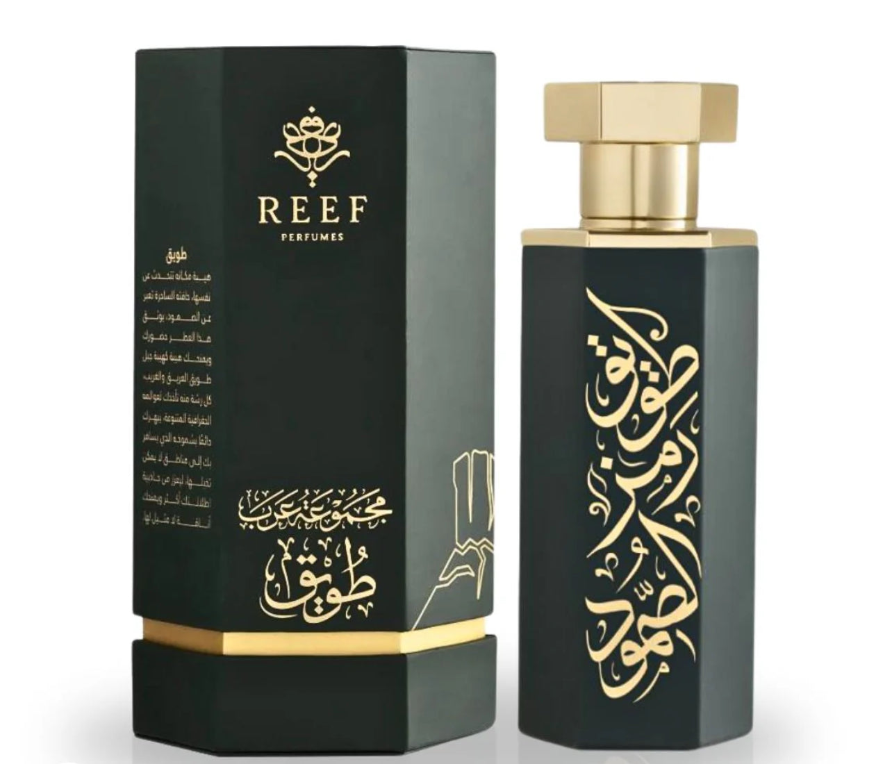 REEF perfumes