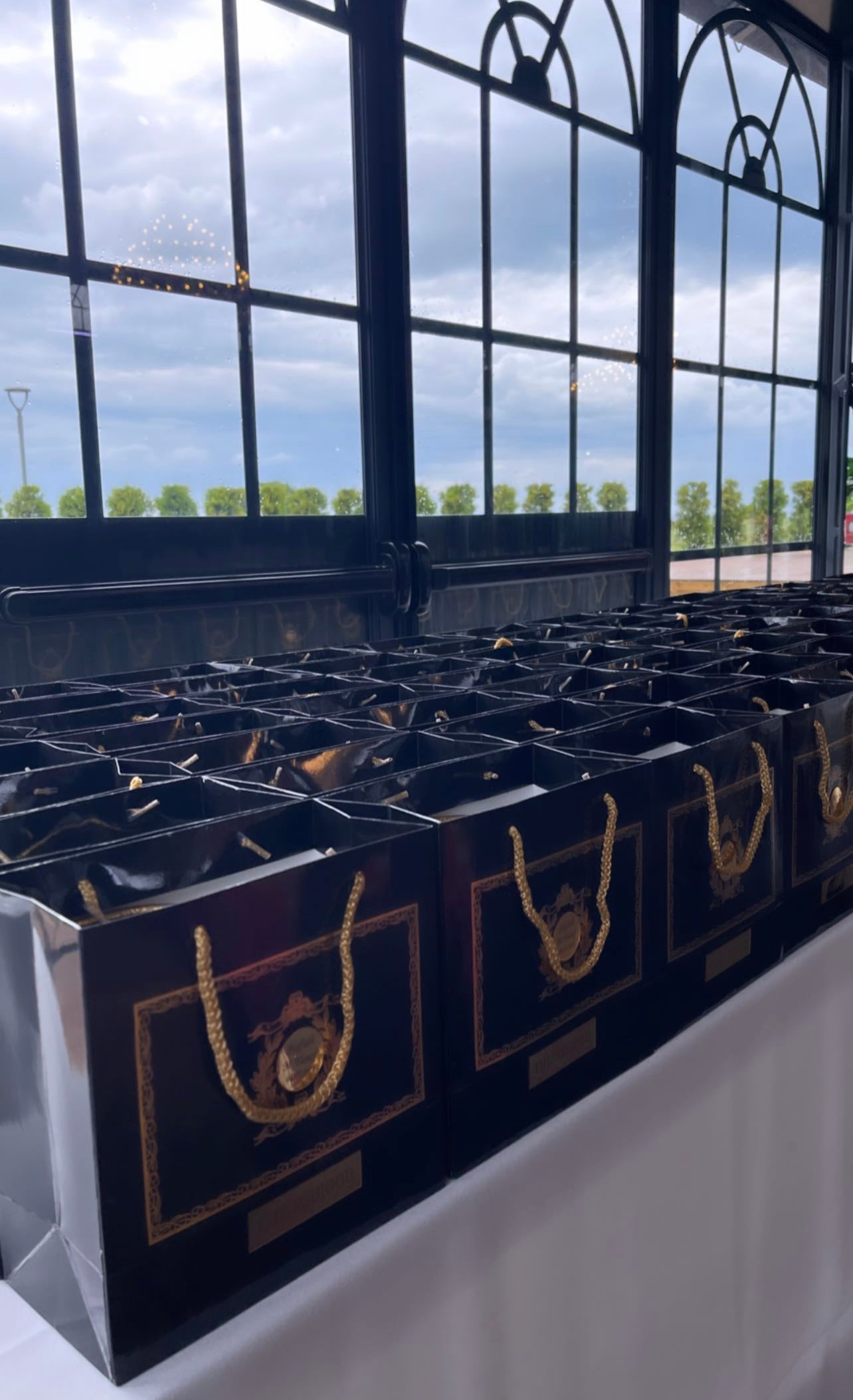 Black/Gold Gift Bags